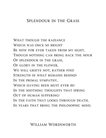 "Splendour in the Grass" Limited Edition Fine Art Print